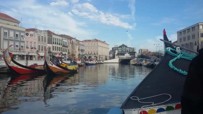 From Porto: Aveiro & Coimbra Tour with Moliceiro Boat Cruise - A Deep Dive into the Tour Experience