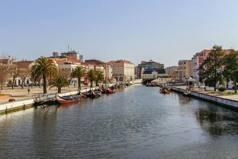 From Porto: Aveiro Half Day Tour - Who Should Consider This Tour?