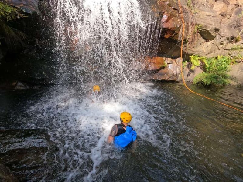 From Porto: Canyoning Experience in Arouca Geopark - Authentic Insights from Reviewers