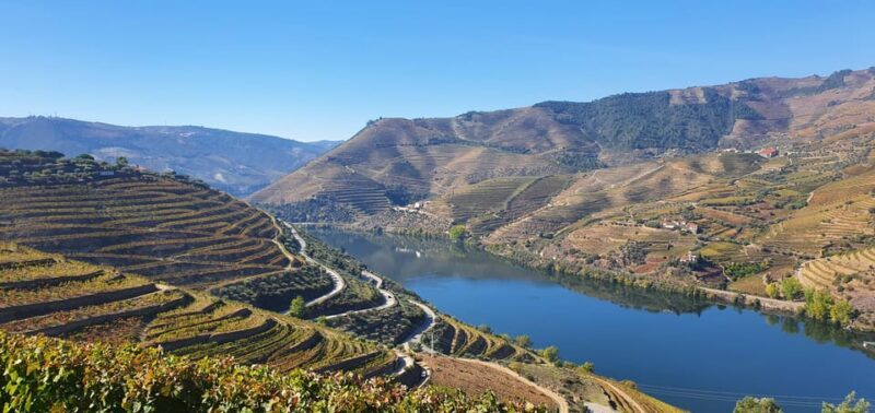 From Porto Day Douro Valley Wine Tour 2 Wine Tasting & Lunch - Valuing the Experience: Is It Worth the Price?