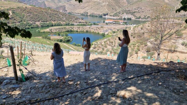 From Porto Day Douro Valley Wine Tour 2 Wineries & Lunch - Tour Details