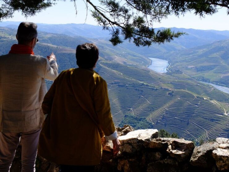 From Porto: Douro Region Private Food and Wine Day Tour - Tour Duration and Guide Availability