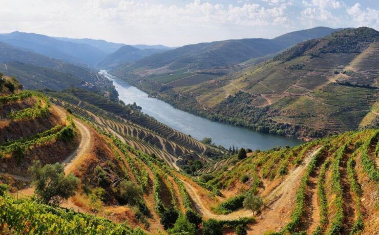 From Porto: Douro Tour - Pinhão/Regua for 1 Day - Tour Details