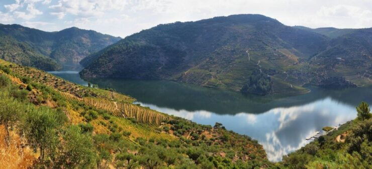 From Porto: Douro Tour Pinhão/Régua Full Day All Included - Tour Details
