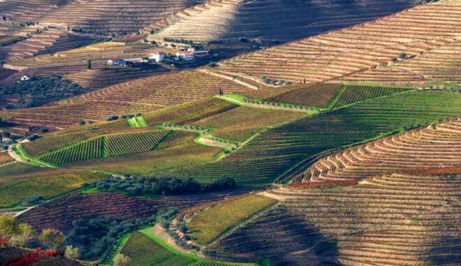 From Porto: Douro Tour Pinhão/Régua Full Day All Included - Booking Information