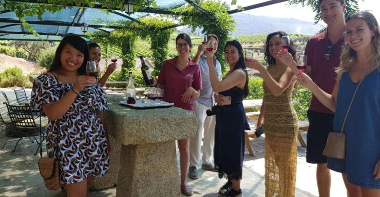 From Porto: Douro Valley 3 Vineyards Tour With Lunch - Experience Highlights
