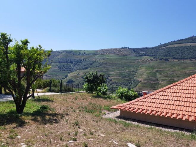 From Porto: Douro Valley 3 Vineyards Tour With Lunch - The Sum Up