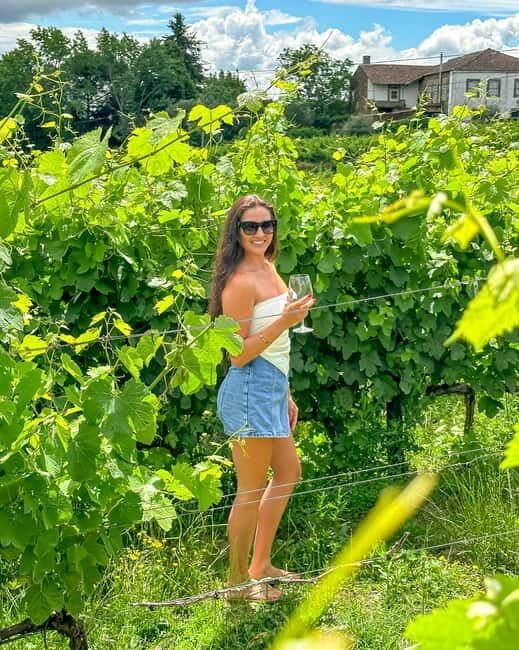 From Porto: Douro Valley Private Tour w/ 3 Wineries & Lunch - Practical Details and Value