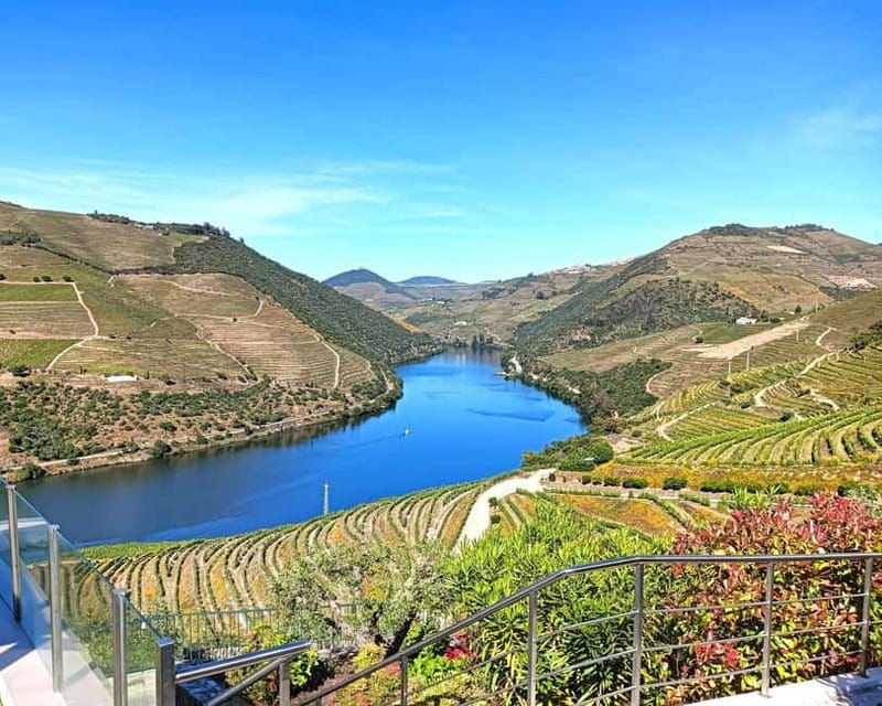 From Porto: Douro Valley Private Tour w/ 3 Wineries & Lunch - Good To Know
