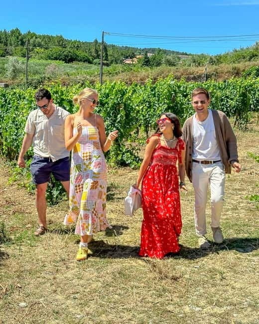 From Porto: Douro Valley Private Tour w/ 3 Wineries & Lunch - Analyzing the Experience: Value, Highlights, and Practicalities