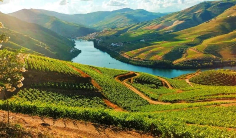 From Porto: Douro Valley Tour - Good To Know