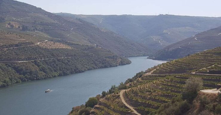 From Porto Douro Valley Tour Wine Tasting River Cruise Lunch - Children and Group Guidelines