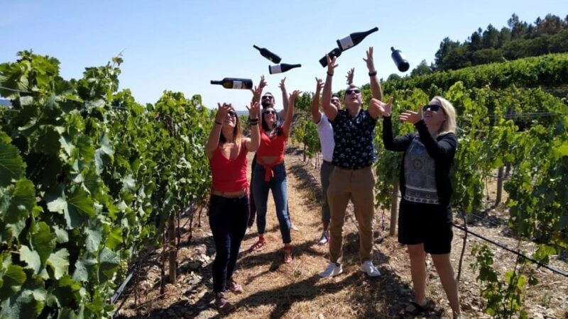 From Porto: Douro Valley Tour with Tastings, Boat & Lunch - Good To Know