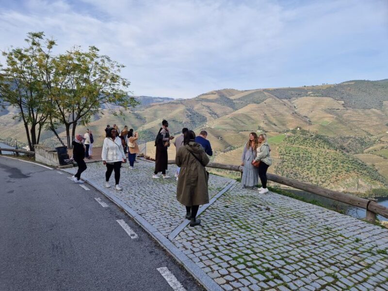From Porto Douro Valley Tour with Train and Vinho Verde - Who Will Love This Tour?