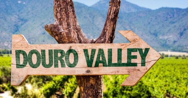 From Porto: Douro Valley W/ Boat Tour, Wine Tasting & Lunch - Meeting Point and Important Information