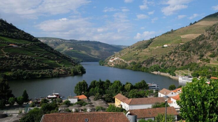From Porto: Douro Valley Wine Tasting, Lunch and Boat Cruise - Tour Details and Inclusions