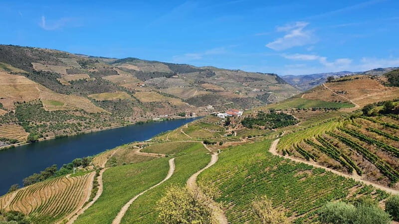 From Porto: Douro Valley Wine Tasting Tour With Hotel Pickup - Considerations & Tips