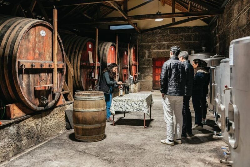From Porto: Douro Valley Wine Tour with Lunch and Cruise - Good To Know