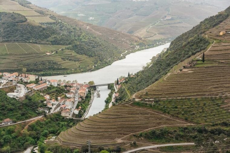 From Porto: Douro Valley Wine Tour with Lunch and Cruise - Final Thoughts