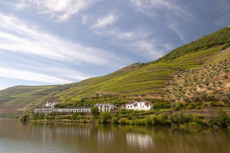 From Porto: Douro Valley With River Cruise and Wine Tasting - Tour Overview