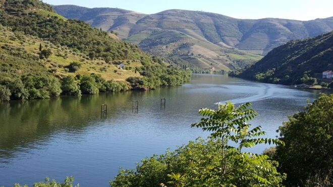 From Porto: Douro Valley With River Cruise and Wine Tasting - Itinerary Details
