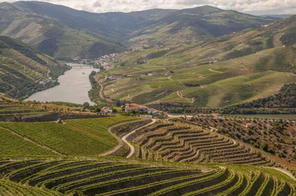 From Porto: Douro Valley With River Cruise and Wine Tasting - Important Information