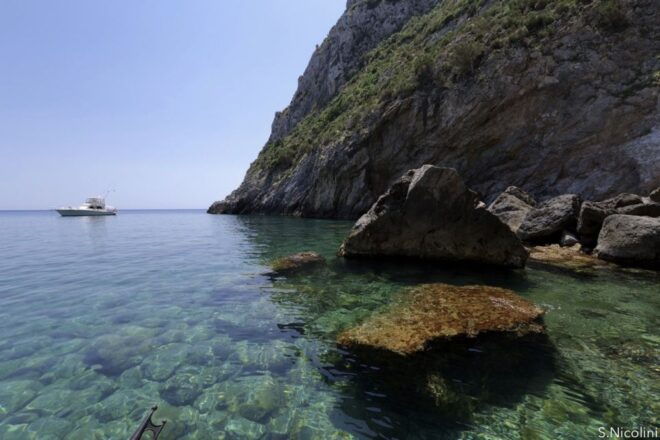 From Porto Ercole: Giannutri Island Snorkeling Boat Trip - Inclusions