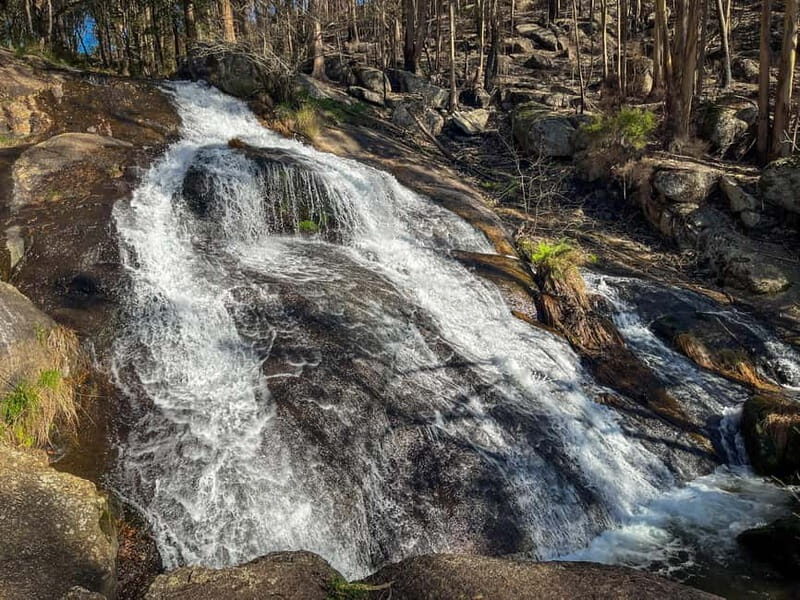 From Porto: Forest Waterfalls & Roman Ruins Trail Tour - A Closer Look at the Itinerary