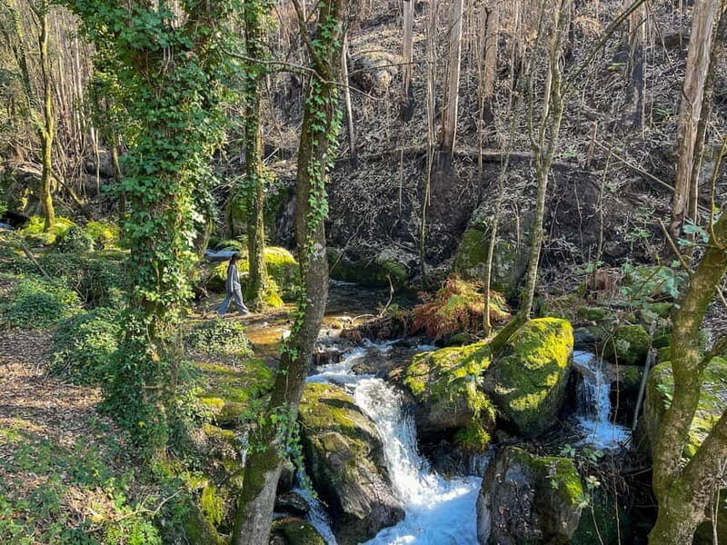 From Porto: Forest Waterfalls & Roman Ruins Trail Tour - Why This Tour Works