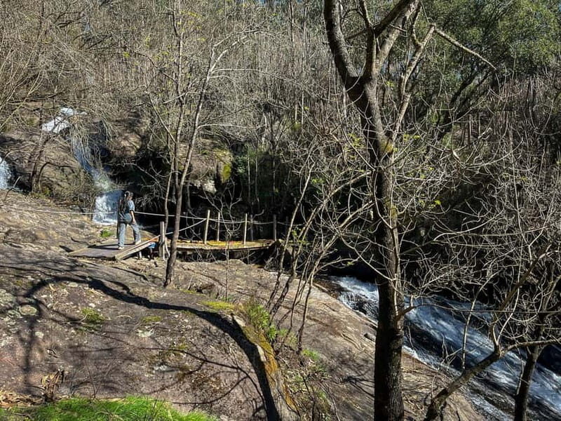 From Porto: Forest Waterfalls & Roman Ruins Trail Tour - Final Thoughts: Who’s This For?