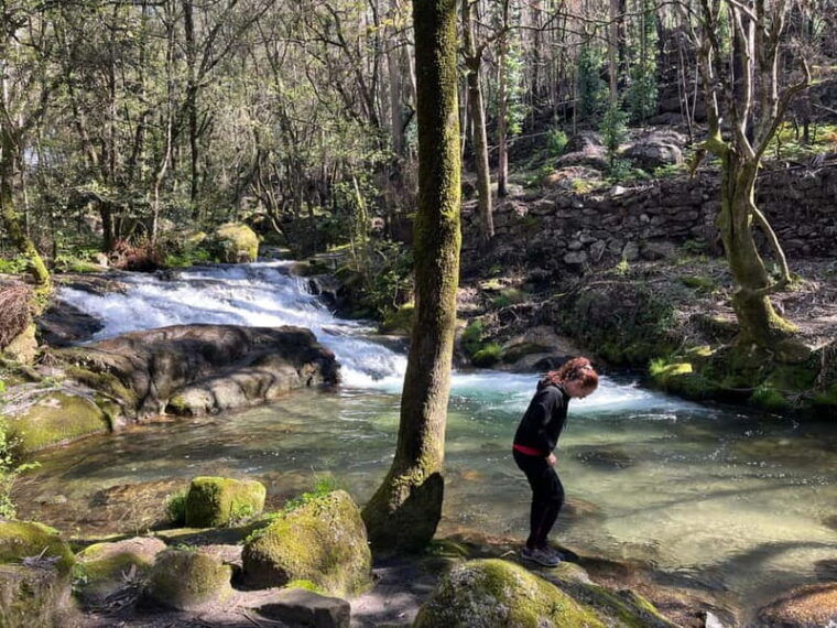 From Porto: Forest Waterfalls & Roman Ruins Trail Tour - Practical Details and What to Expect