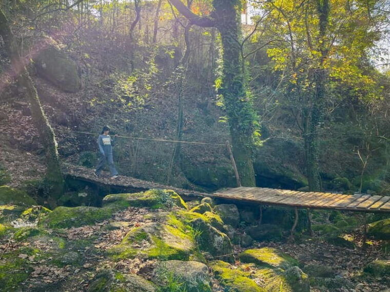 From Porto: Forest Waterfalls & Roman Ruins Trail Tour - Who Should Consider This Experience?