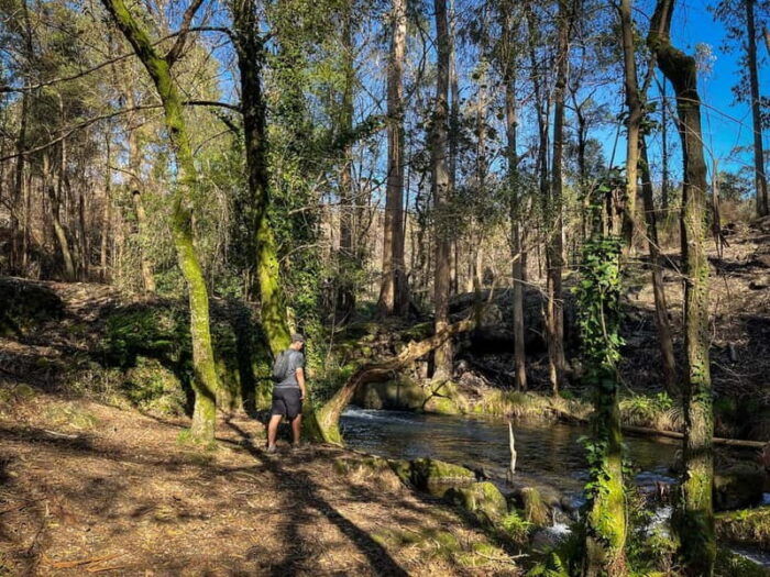 From Porto: Forest Waterfalls & Roman Ruins Trail Tour - FAQ