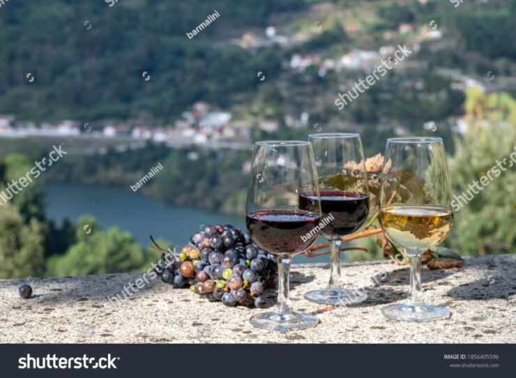 From Porto: Full-Day Douro Tour - Tour Booking Information