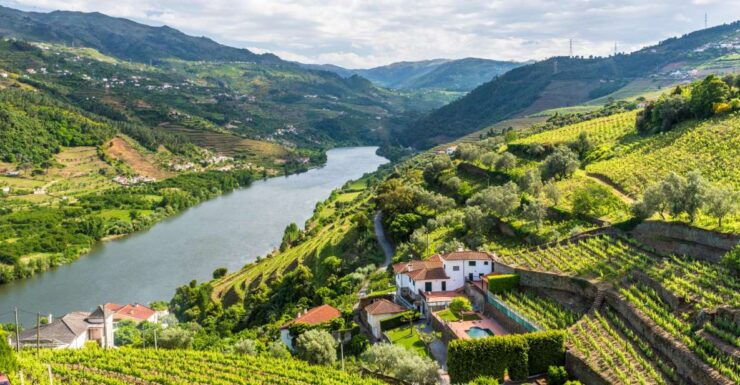 From Porto: Full-Day Douro Tour - Tour Highlights