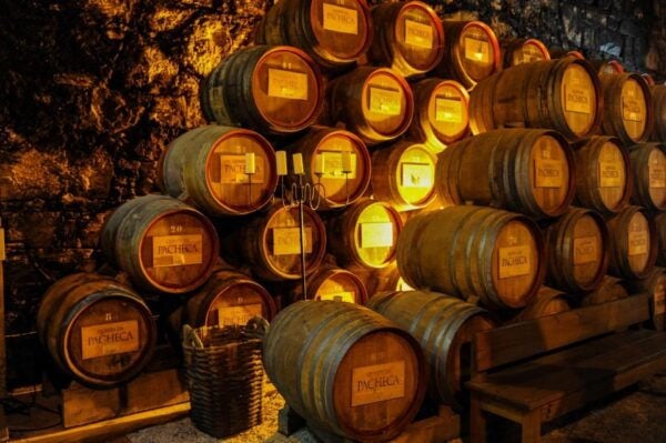 From Porto: Full-Day Douro Valley Trip and Port Wine Tasting - Background