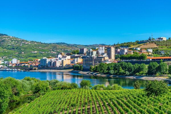 From Porto: Full-Day Douro Valley Trip and Port Wine Tasting - Additional Options