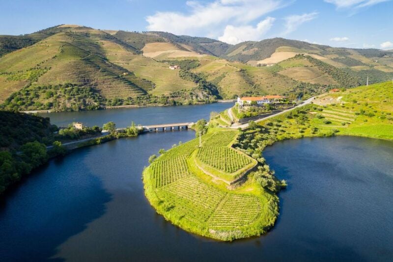 From Porto: Full-Day Douro Valley Trip - Good To Know