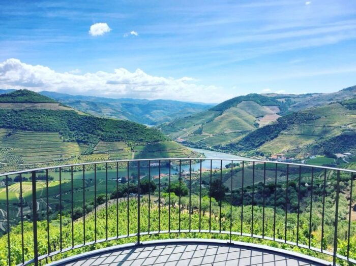 From Porto: Full-Day Douro Valley Trip - Final Words