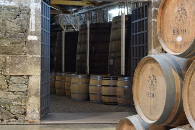 From Porto Full Day Douro Valley Wine Tour 2 Wineries & Meal - Wineries Visited