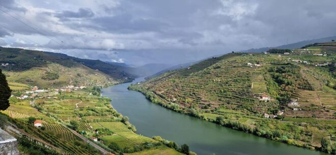 From Porto Full Day Douro Valley Wine Tour 2 Wineries & Meal - Included Lunch
