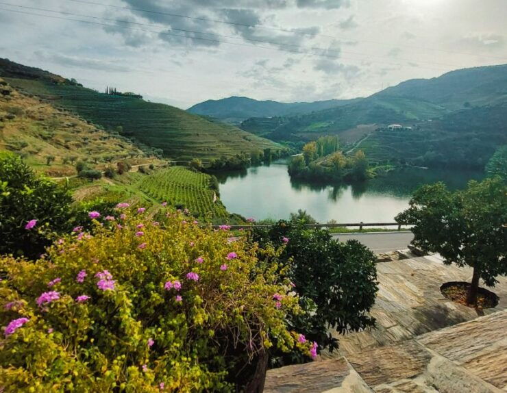 From Porto: Full-Day Douro Valley Wine Tour - Tour Details