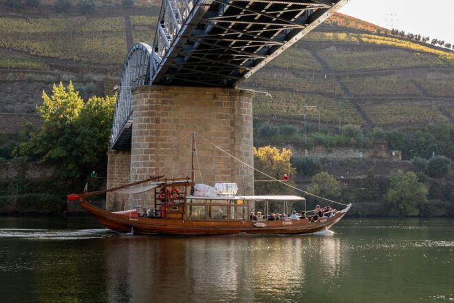From Porto: Full-Day Douro Valley & Wine Tour With Lunch - Experiences and Activities