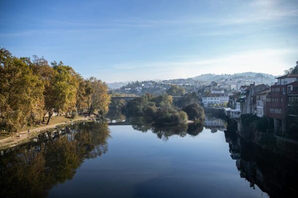 From Porto: Full-Day Douro Valley & Wine Tour With Lunch - Booking and Payment