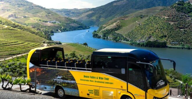 From Porto: Full-Day Douro Valley & Wine Tour With Lunch - Inclusions