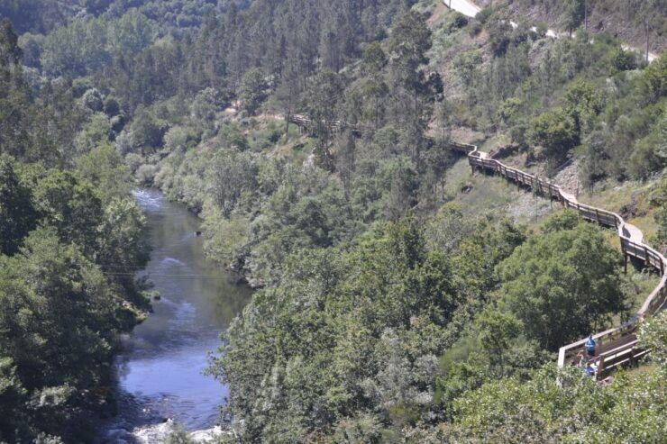 From Porto: Full-Day Paiva Walkways Tour - Experience Highlights