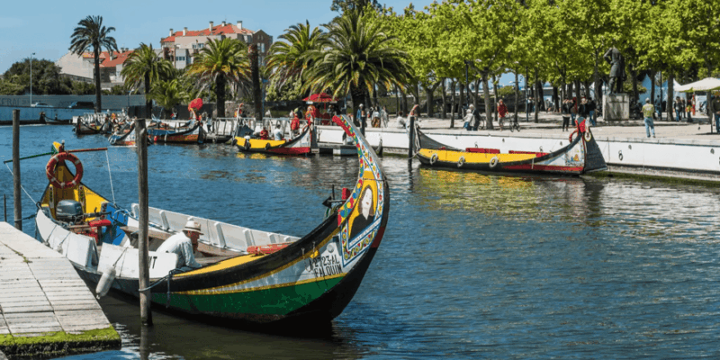 From Porto: Full-Day Trip to Coimbra & Aveiro with Boat Ride - Good To Know