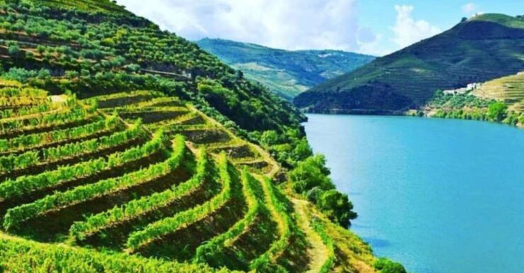 From Porto: Guided Douro Valley Wine Tasting With Lunch - Booking Details