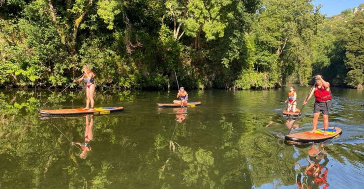 From Porto: Guided Paddleboard Tour in Gerês National Park - Activity Details