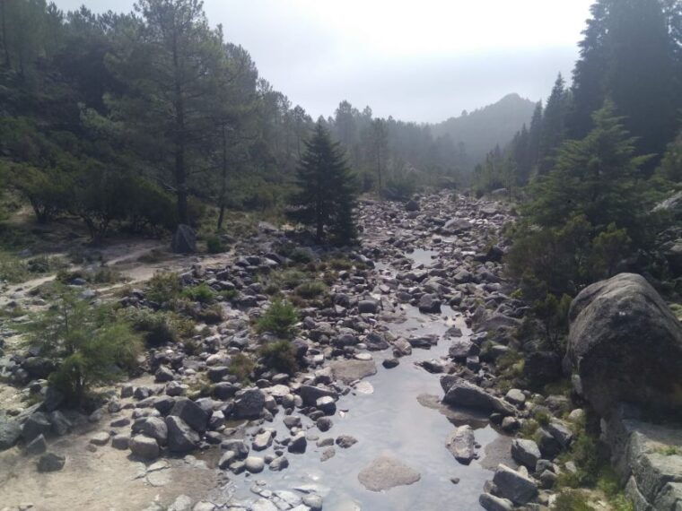 From Porto: Guided Tour to Gerês Park - Whats Included in the Tour